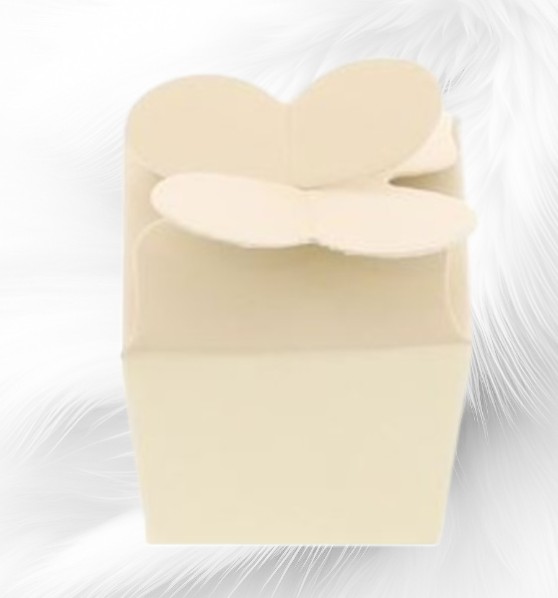Boite-papillon-Blanc-Nacre
