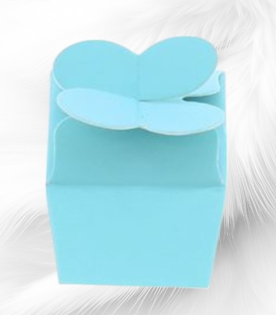 Boite-papillon-Ciel