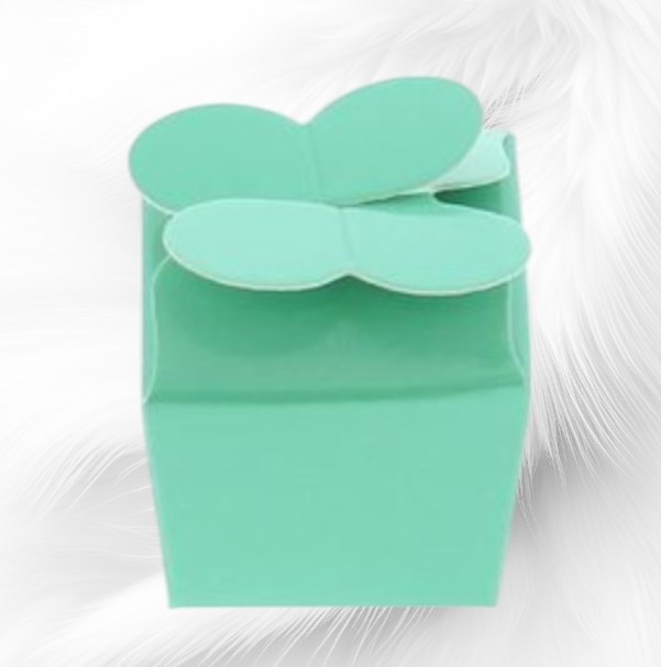 Boite-papillon-Emeraude