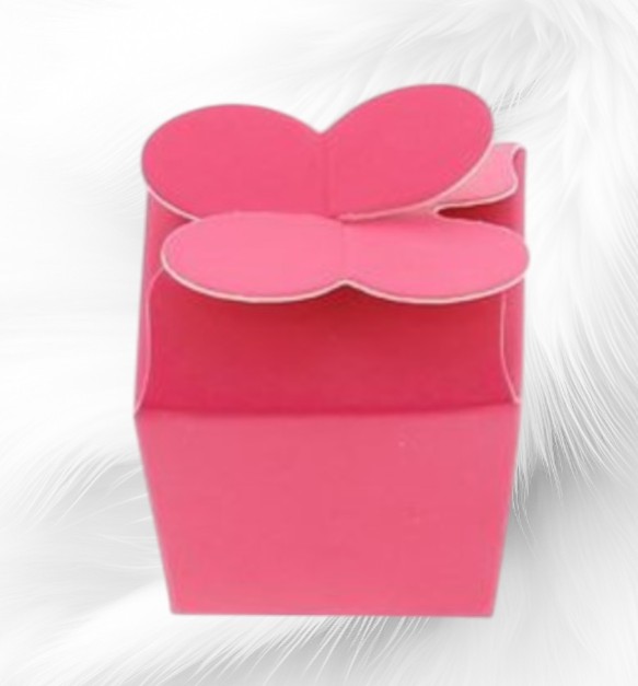 Boite-papillon-Fushia