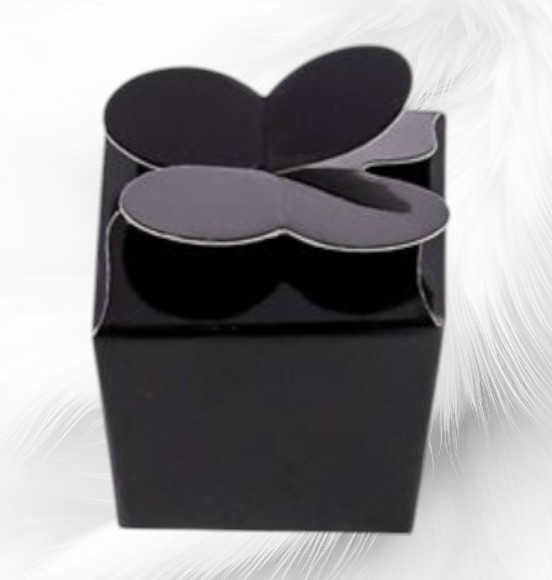 Boite-papillon-Noir