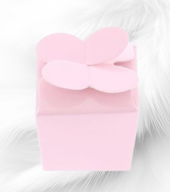 Boite-papillon-Rose-Clair