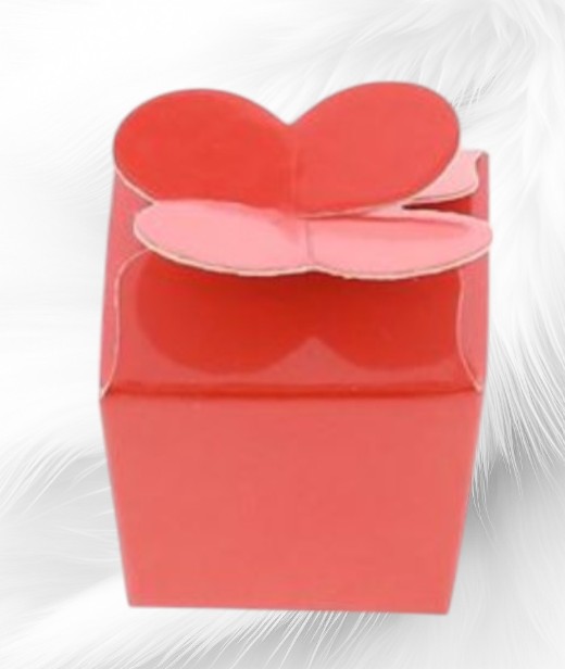 Boite-papillon-Rouge