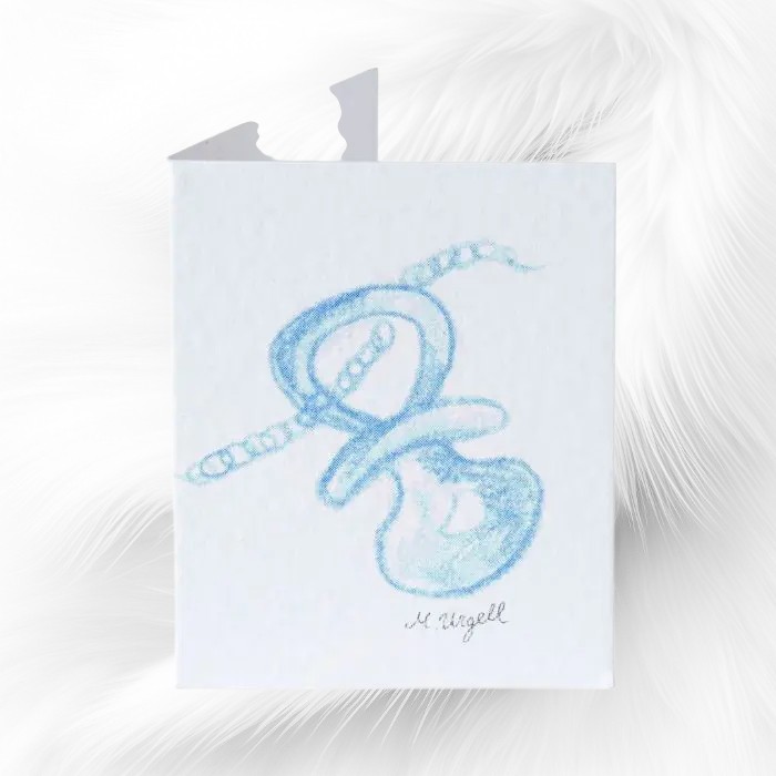 Carte-Livre-Tetine-Bleue